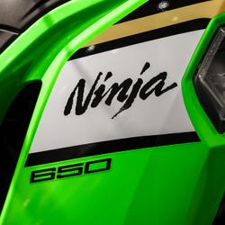 Kawasaki Ninja 650  Ploeren