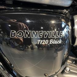 Triumph Bonneville  Firminy