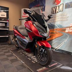 Honda Forza  Rennes
