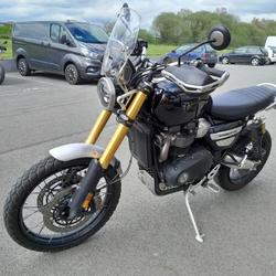 Triumph Scrambler  Pontivy