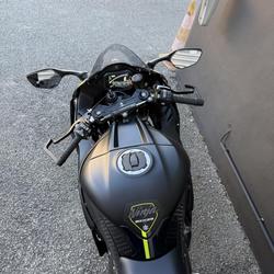 Kawasaki ZX 10R  Al&egrave;s