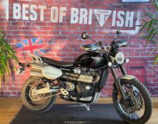 Triumph Scrambler Sevrey