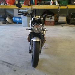 Triumph Speed twin  Arles