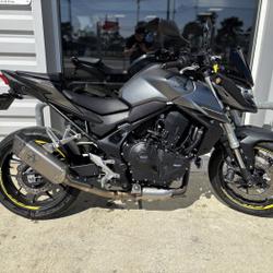 Honda Hornet  Le Mans