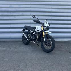 Triumph Scrambler  Bayonne