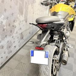 Triumph Tiger  Woippy