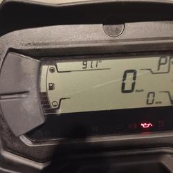 Can Am Renegade  Landivisiau