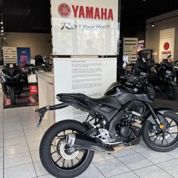 Yamaha MT 125  Coigni&egrave;res