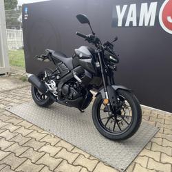 Yamaha MT 125  Mauguio
