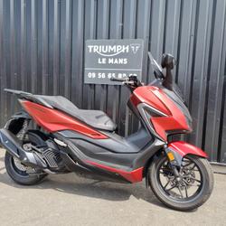 Honda Forza  Ruaudin