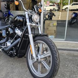 Harley Davidson Softail  Cocheren