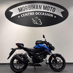 Suzuki GSXS  Ploeren