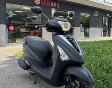 Yamaha D'Elight Grenoble