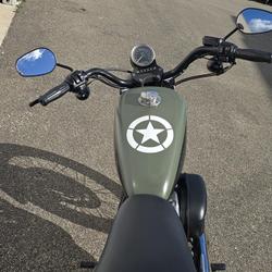 Harley Davidson Sportster  Arles