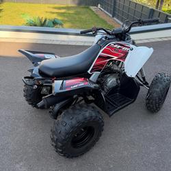 Yamaha YFM90R  Thionville