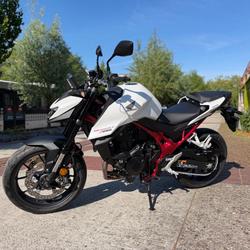 Honda Hornet  Le Havre