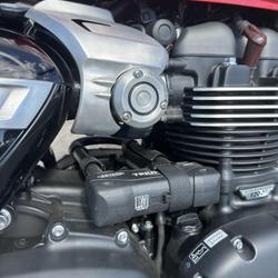 Triumph Speed twin  Rochefort-du-Gard