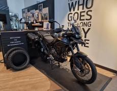 Triumph Tiger Louveciennes
