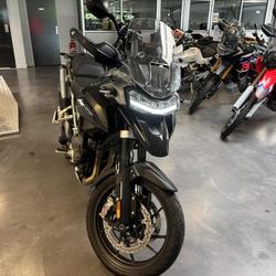 Triumph Tiger  Dury
