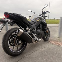 Honda Hornet  Royan
