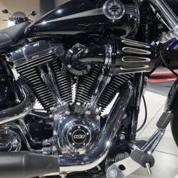 Harley Davidson Softail  Orvault