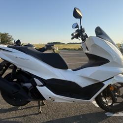 Honda PCX  Royan