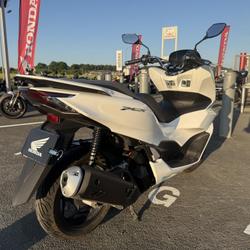 Honda PCX  Royan