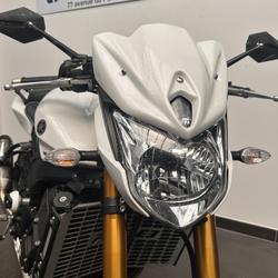 Yamaha FZ8  Le Mans