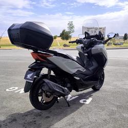 Honda Forza  Royan