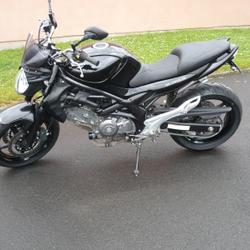Suzuki Gladius  Grenay