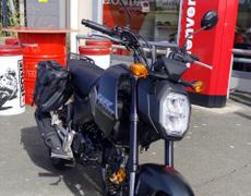 Honda MSX Royan