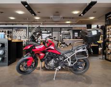Triumph Tiger Nice