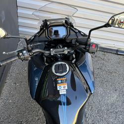 Kawasaki Versys 650  Al&egrave;s