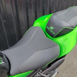 Kawasaki Z  Ruaudin