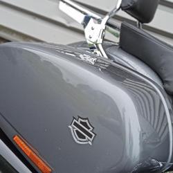 Harley Davidson Softail  Gonfreville-l'Orcher