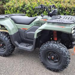 Quadro TERROX 550 occasion - Dommartin-l&egrave;s-Toul - photo 3/5