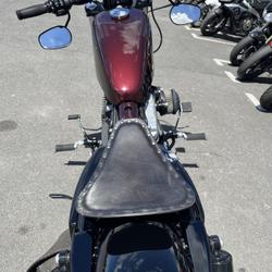 Harley Davidson Sportster  Montlu&ccedil;on