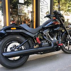 Harley Davidson Softail  Paris 11e Arrondissement