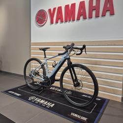 Yamaha TW  Seclin