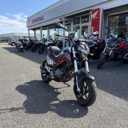Autres Benelli  Haguenau