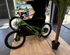 Kawasaki EL Toulouse