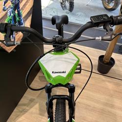 Kawasaki EL  Toulouse
