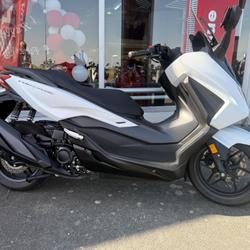 Honda Forza  Royan