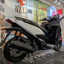 Honda Forza  Rennes