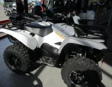 Yamaha Grizzly Soissons