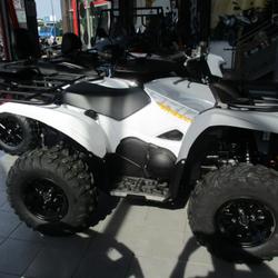 Yamaha Grizzly  Soissons