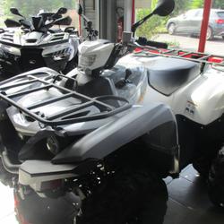 Yamaha Grizzly  Soissons