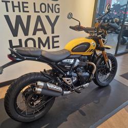 Triumph Scrambler  Louveciennes