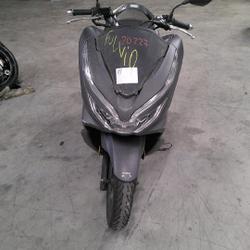Honda PCX  Arles