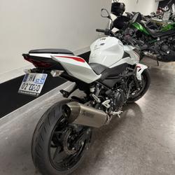 Kawasaki Z  Eckbolsheim